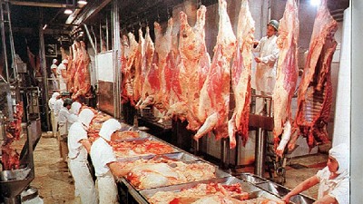 La producción de carnes colabora con la contención de la inflación, por Daniel Urcía