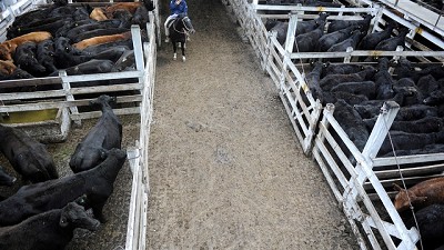 Mercado de Liniers: plaza sostenida con mejoras puntuales en el consumo