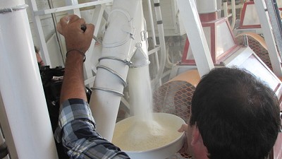 Acuerdan un mecanismo para resolver conflictos sobre la calidad del trigo