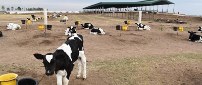 Tour Lechero 2018: Intensificar rima con bienestar