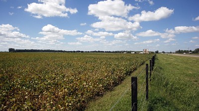 A partir de hoy se podrán realizar aportes al trabajo interministerial sobre aplicación de fitosanitarios