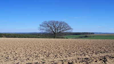 Agroindustria declaró la emergencia agropecuaria por sequía en Chaco, Santa Fe y Córdoba