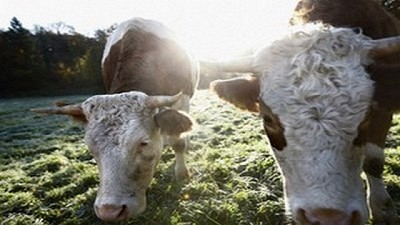 La educación tiene un lugar destacado en la Exposición Rural