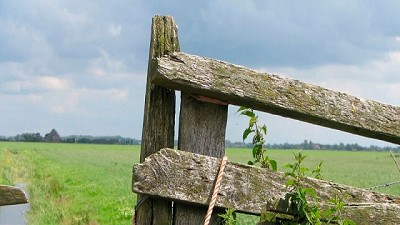 La creciente problemática del Mercado Inmobiliario Rural 