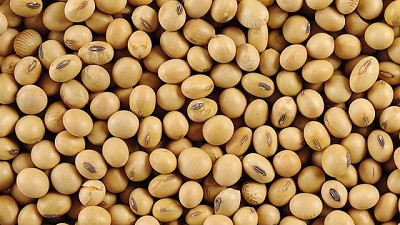 La ayuda a los Farmer por la represalia “injustificada” al mercado de la soja, según Trump, por Celina Mesquida