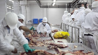 Nuevo mercado: la grasa bovina argentina llega a Marruecos