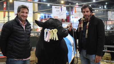 Exposición Rural 2018: los secretos detrás de los Grandes Campeones que muestran el futuro de la carne argentina