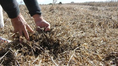 Gestión ambiental: desafíos para una producción sostenible