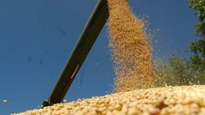 Semana positiva para los precios de la soja en la Bolsa de Chicago