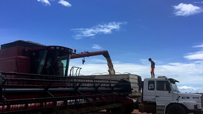 Brasil proyecta aumentar un 30% la cosecha de granos en diez años