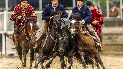 Exposición Rural: 1.090.252 de personas disfrutaron de la muestra más importante del campo de argentina