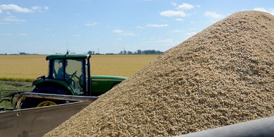 Nueva incorporación de productos a SIO Granos