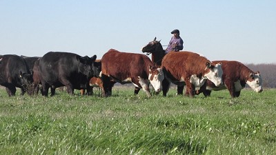 Senasa unifica las regionales de Santa Fe, Entre Ríos y Córdoba