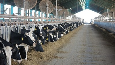 CRA también pone la lupa en las provincias, por los altos costos eléctricos