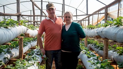 Vence el plazo para la actualización de datos del Monotributo Social Agropecuario