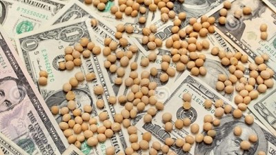 La soja subió 10 dólares por tonelada en Chicago y 100 pesos en Rosario