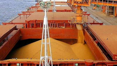 Crisis cambiaria: en julio, la venta de dólares de las cerealeras aumentó 21%