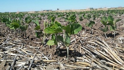 Una tecnología que amplía las fronteras agrícolas
