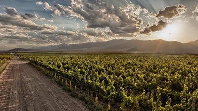 El agro mendocino en alerta por los reintegros a las exportaciones