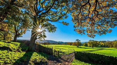 La industria de los agroquimicos ya pone en marcha “campo limpio”