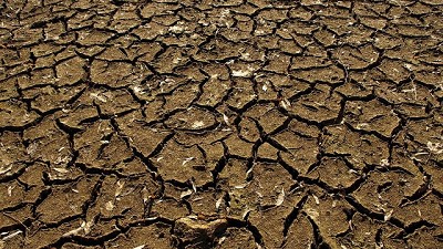 La sequía y las plagas afectan la zona agrícola más importante de Bolivia