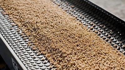 Europa multiplica sus compras de granos y harina de soja a EE.UU.