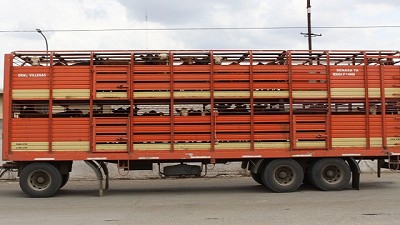 DT-e: crece la emisión por autogestión