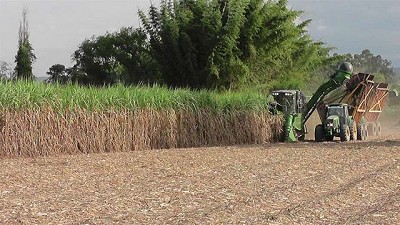 Bolivia apuesta fuerte al bioetanol para mejorar la calidad de sus combustibles