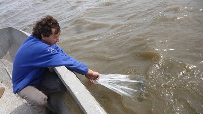 En 6 meses se entregaron 309 mil huevos de pejerrey a distintas lagunas de la Provincia