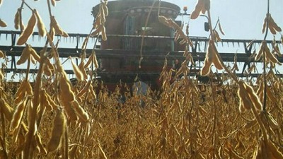 Cobros demorados y venta forzada de equipos: así es la crisis de los contratistas