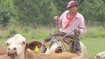 Los números del campo: comida, divisas y empleo