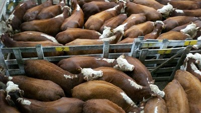 Lunes en Liniers: entrada pobre con indicios de recuperación