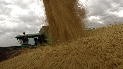 ¿Campo vs. industria?. Discrepancia en el seno de la agroindustria sobre el cambio en las retenciones