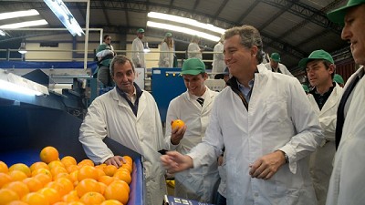 Después de 7 años, Argentina vuelve a exportar mandarinas a China