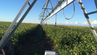 Evaluarán un innovador sistema de riego que autogenera energía