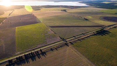 Alquileres agrícolas: en una campaña con márgenes ajustados, el negocio no admite errores