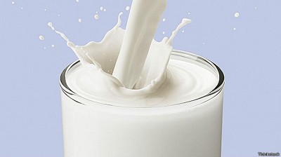 La producción de leche creció en promedio un 8%