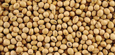 Continúan las críticas por los derechos de exportación del complejo sojero