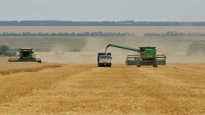 Los rumores movieron el tablero en trigo, soja y maíz