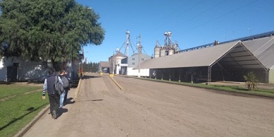 Control de matrículas en el sector cerealero