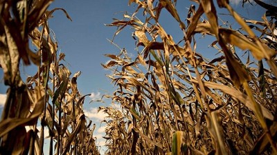 El cambio climático va a incrementar los riesgos productivos