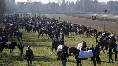 Frenan en la Legislatura bonaerense el proyecto para eliminar subsidios al turf