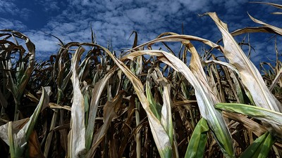 Una agricultura adaptativa para producir más con menos