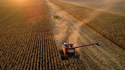 Las siete maravillas para el rendimiento del choclo