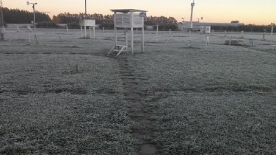 Productores reciben alertas por heladas para cuidar los frutales
