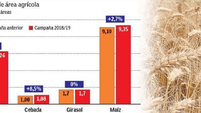 Esperanza 2019: el campo puede sumar 1,5 punto al próximo PBI