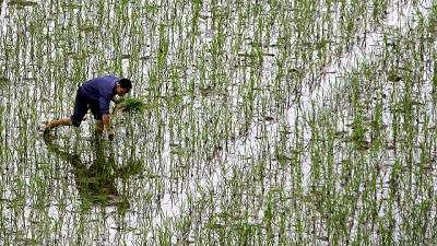 La agricultura china también avanza hacia una mayor precisión