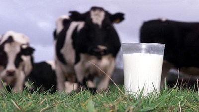 Se prevé suba de precio al productor en los próximos meses