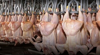 Las cadenas avícola y harinera, las próximas a inspeccionar