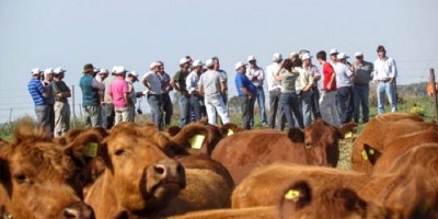 Técnicos y productores, mano a mano por una ganadería más eficiente